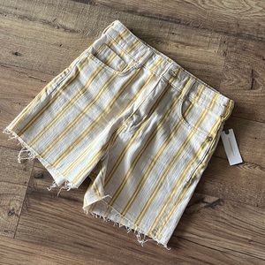 High waisted anthro shorts